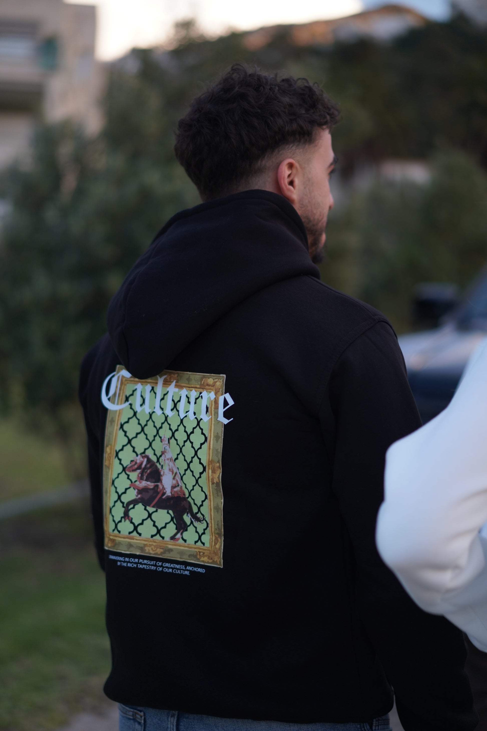 Vue arrière du hoodie montrant la capuche et les détails du tissu